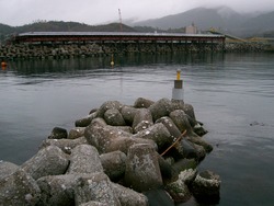 十六島（うっぷるい）漁港