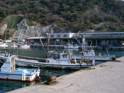 大社漁港