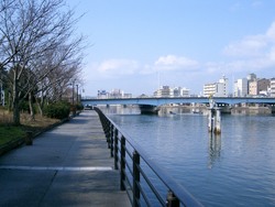 大橋川
