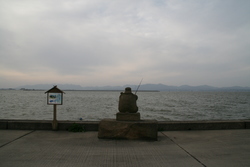 宍道湖の亀とたぬき